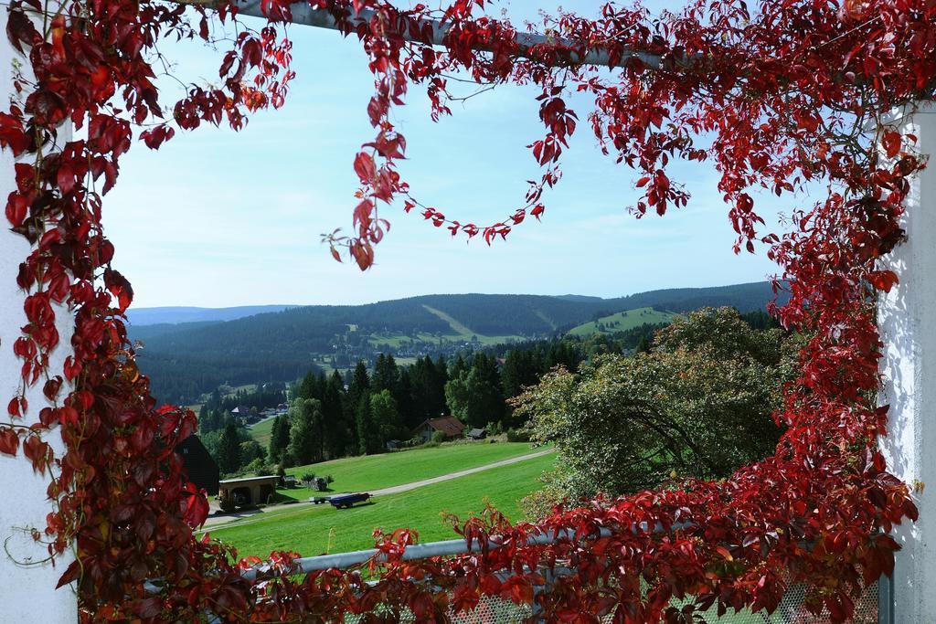 Haus Feldberg-Falkau Feldberg  Exterior foto